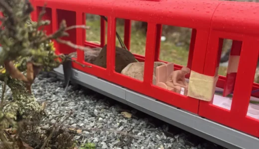 Nationalparkbahn Baufortschritt